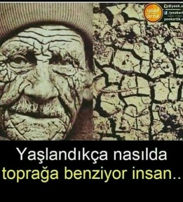 Next Post Image
